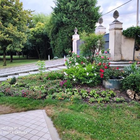 Residenza Serena มีราโน ภายนอก รูปภาพ