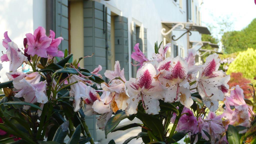 Residenza Serena มีราโน ภายนอก รูปภาพ