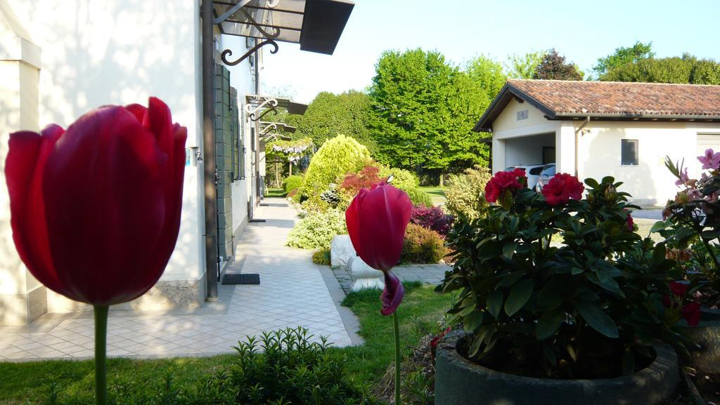 Residenza Serena มีราโน ภายนอก รูปภาพ